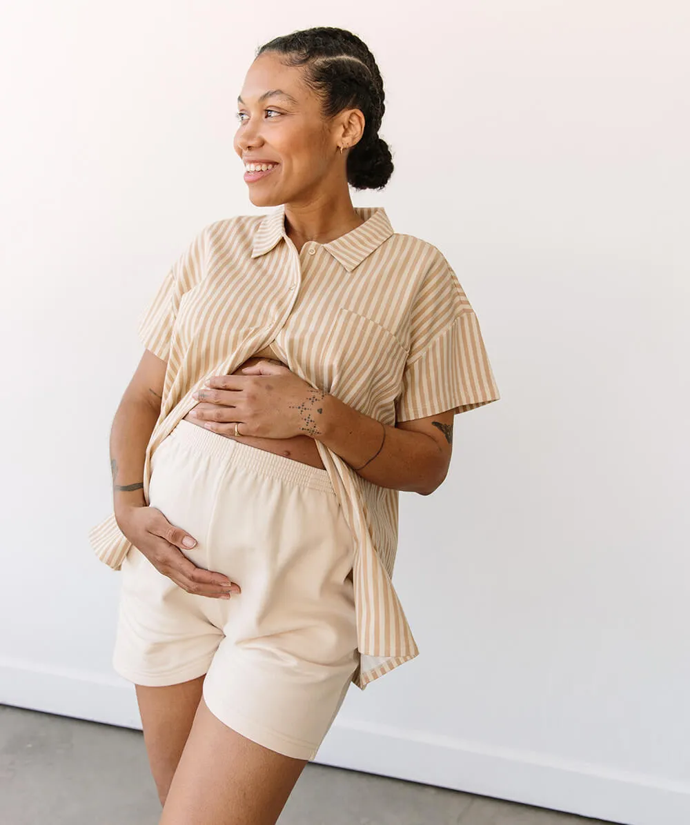 Foundation Sweatshorts
