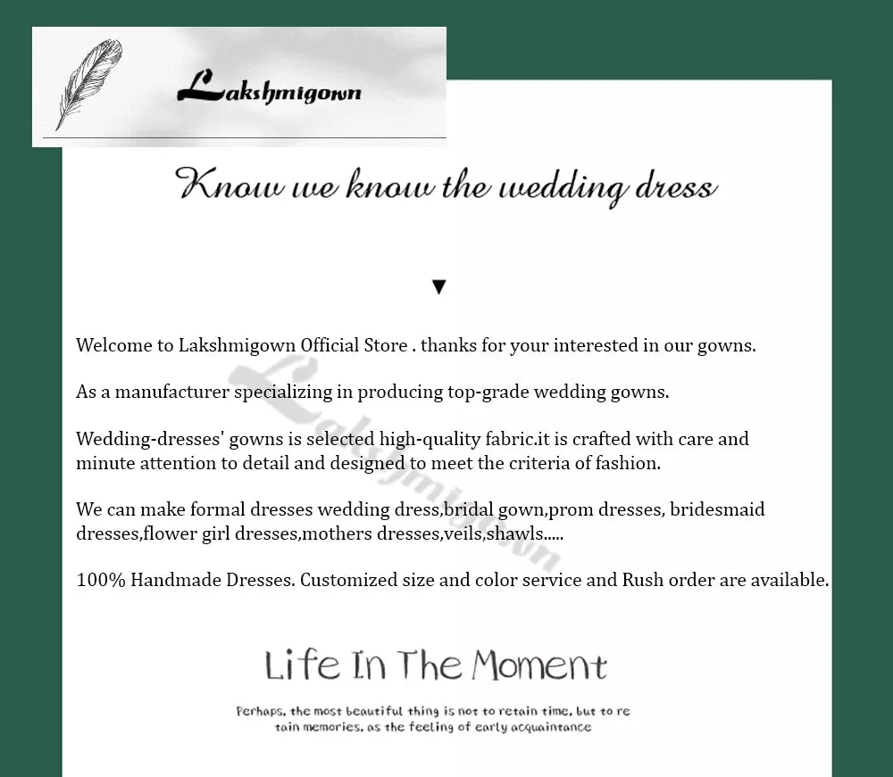 Lakshmigown A Line V Neck Lace Wedding Dress Cap Sleeves 2023 Sexy Bridal Gown Beach Lace Wedding Gowns Custom Made